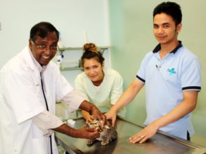 clinic