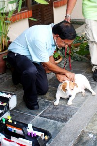 mobile-vet