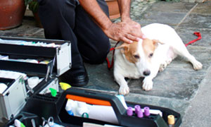pet-mobile-vet-services
