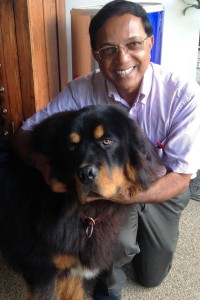 vet-and-dog